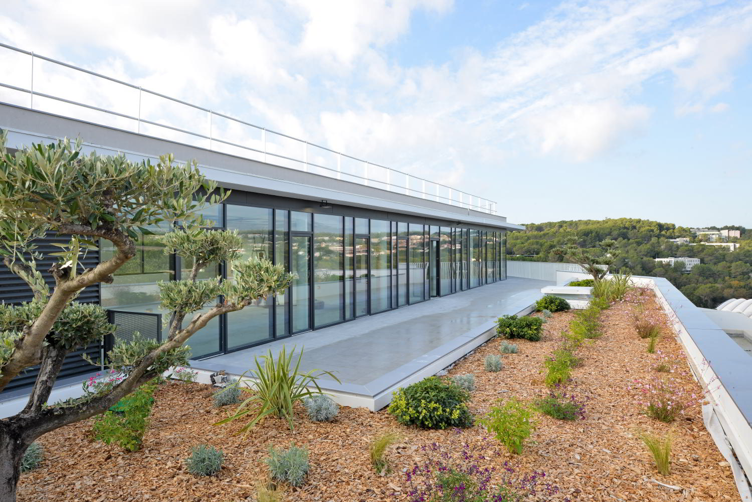 &copy;Kardham_Valimmo_Partenariat Mazzares Architectes_Biot Sophia Antipolis_Photo Remy Schejbal